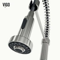 Edison Pull-Down Kitchen Spray Faucet