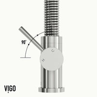 Edison Pull-Down Kitchen Spray Faucet