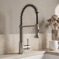 Edison Pull-Down Kitchen Spray Faucet