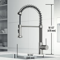 Edison Pull-Down Kitchen Spray Faucet