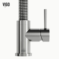 Edison Pull-Down Kitchen Spray Faucet
