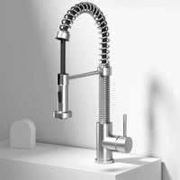 Edison Pull-Down Kitchen Spray Faucet