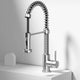 Edison Pull-Down Kitchen Spray Faucet