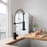Edison Pull-Down Kitchen Spray Faucet