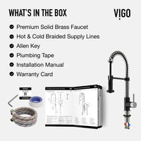 Edison Pull-Down Kitchen Spray Faucet