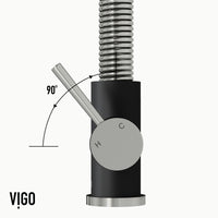 Edison Pull-Down Kitchen Spray Faucet