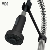 Edison Pull-Down Kitchen Spray Faucet