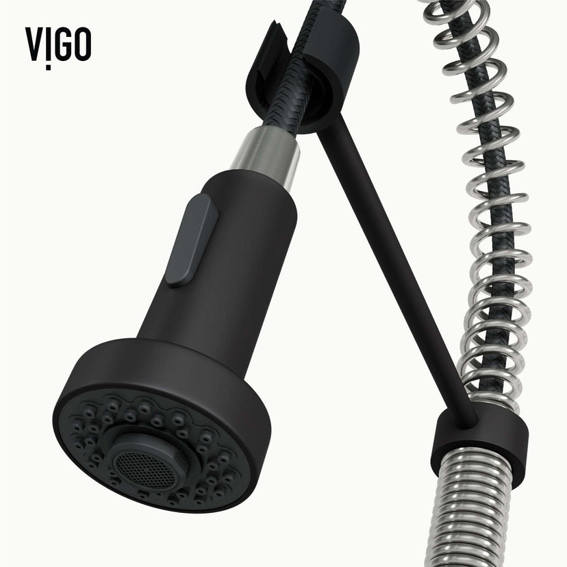Edison Pull-Down Kitchen Spray Faucet