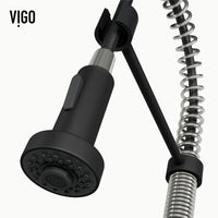 Edison Pull-Down Kitchen Spray Faucet