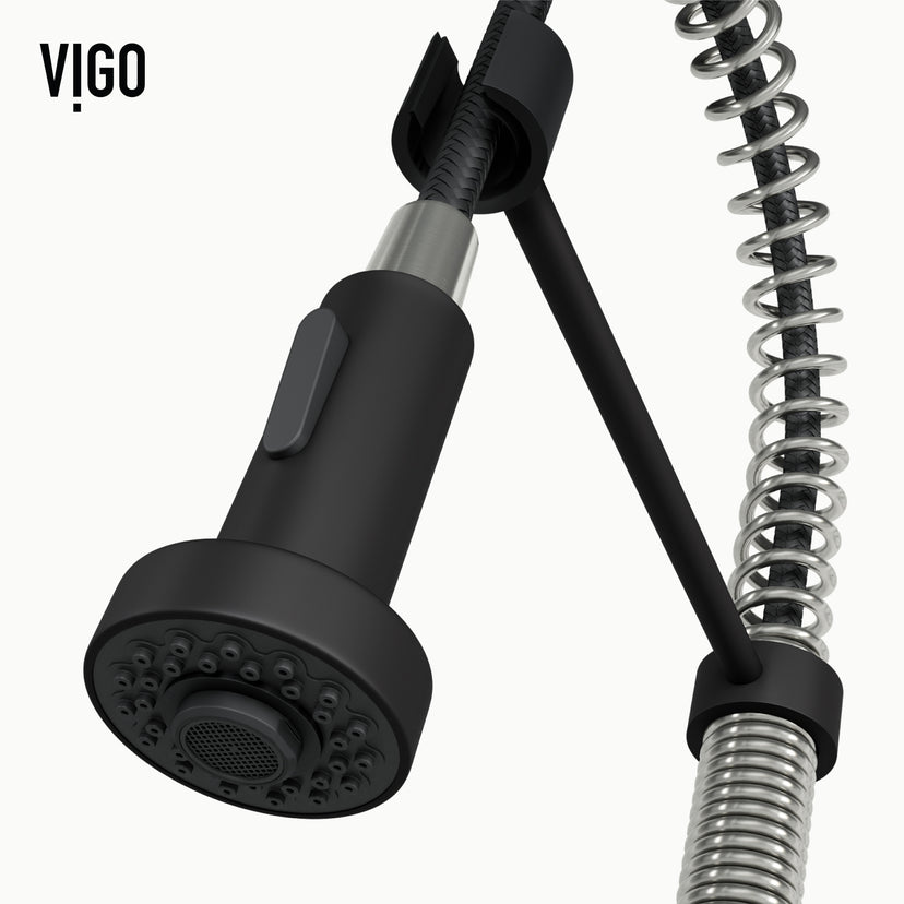 Edison Pull-Down Kitchen Spray Faucet