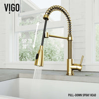 Brant Pull‑Down Spray Kitchen Faucet
