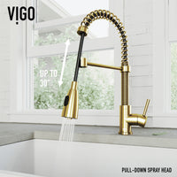 Brant Pull‑Down Spray Kitchen Faucet