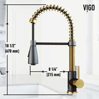 Brant Pull‑Down Spray Kitchen Faucet
