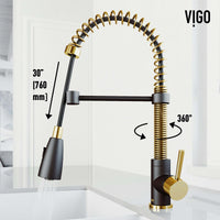 Brant Pull‑Down Spray Kitchen Faucet