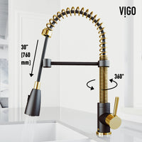 Brant Pull‑Down Spray Kitchen Faucet