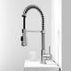 Brant Pull‑Down Spray Kitchen Faucet