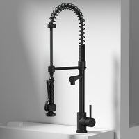 Zurich Pull-Down Kitchen Faucet