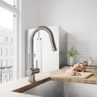 Modern kitchen faucet with pull-down spray and 17-inch assembled height