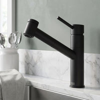 Branson Pull-Out Kitchen Faucet