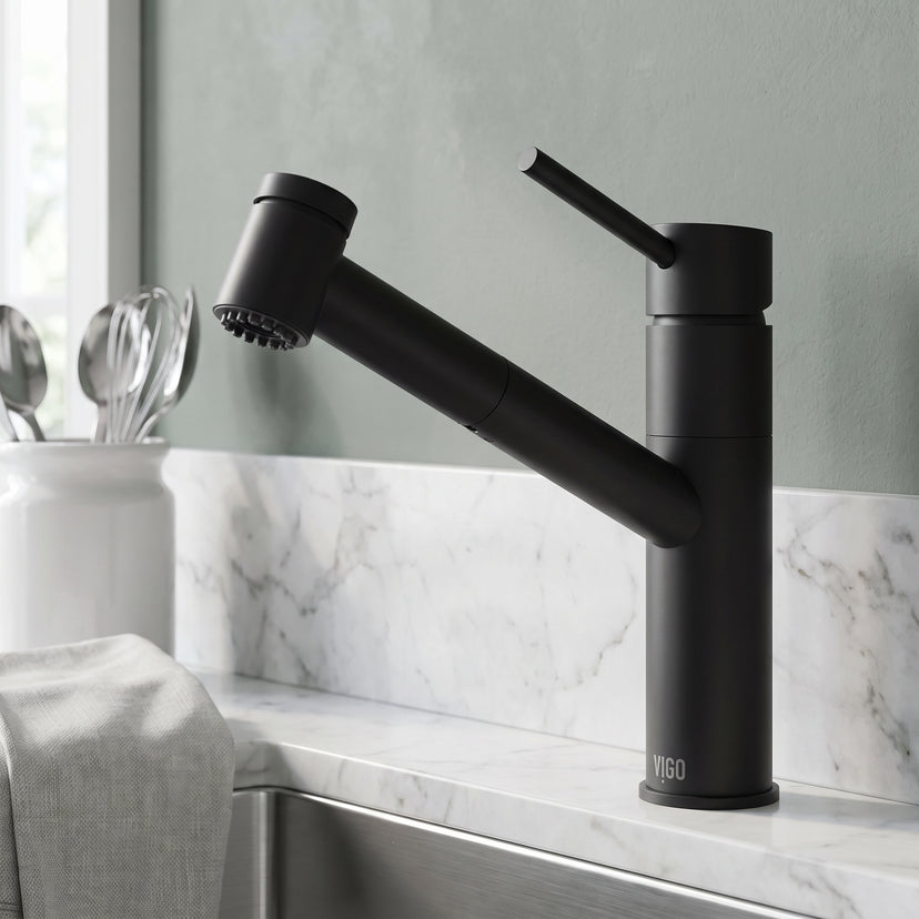 Branson Pull-Out Kitchen Faucet