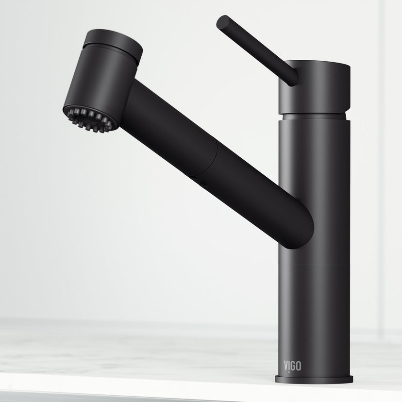 Branson Pull-Out Kitchen Faucet