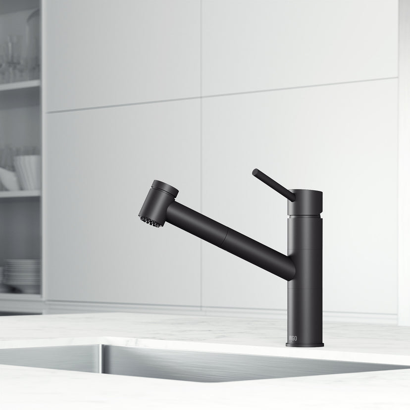 Branson Pull-Out Kitchen Faucet