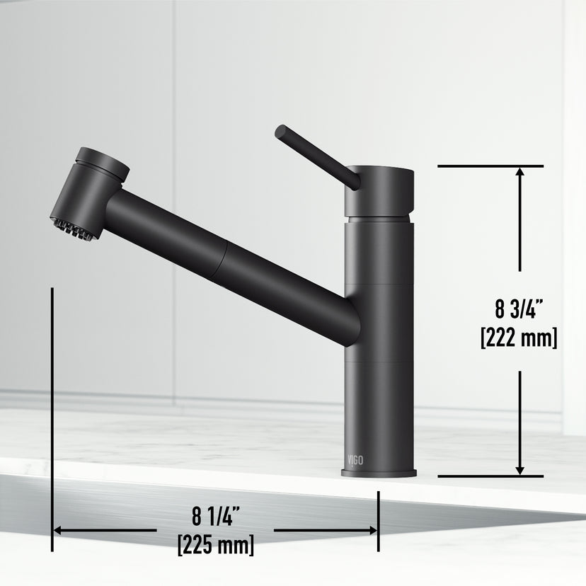 Branson Pull-Out Kitchen Faucet