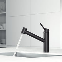Branson Pull-Out Kitchen Faucet
