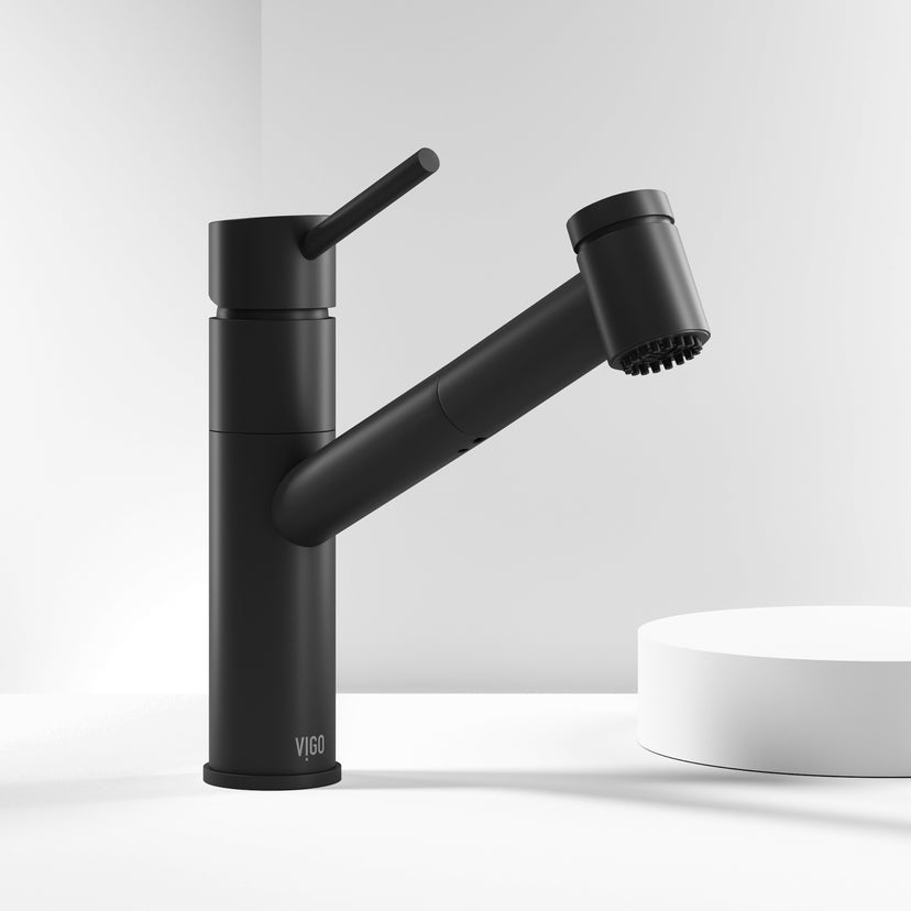 Branson Pull-Out Kitchen Faucet