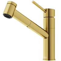 Branson Pull-Out Kitchen Faucet