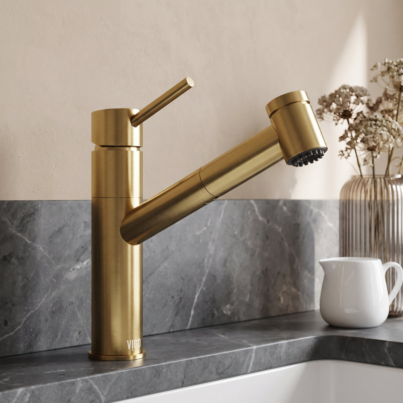 Branson Pull-Out Kitchen Faucet