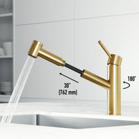 Branson Pull-Out Kitchen Faucet
