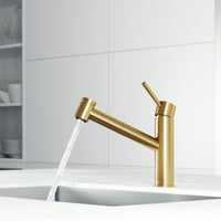 Branson Pull-Out Kitchen Faucet