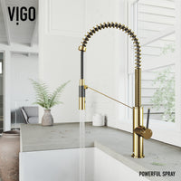 Madison Pull-Down Kitchen Faucet