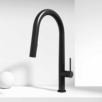 Greenwich Pull-Down Spray Kitchen Faucet
