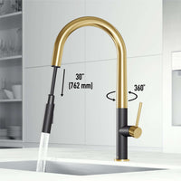 Greenwich Pull-Down Spray Kitchen Faucet