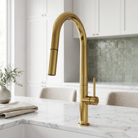 Greenwich Pull-Down Spray Kitchen Faucet