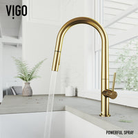 Greenwich Pull-Down Spray Kitchen Faucet