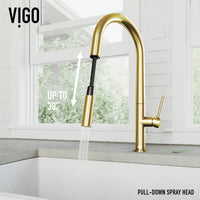 Greenwich Pull-Down Spray Kitchen Faucet