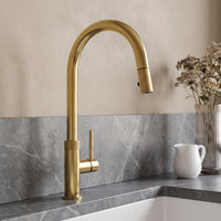 Bristol Pull-Down Spray Kitchen Faucet