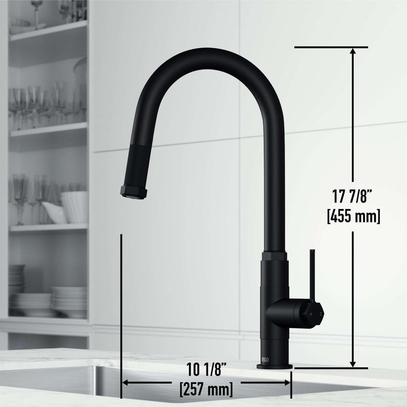 Kitchen faucet with pre-rinse function and matte black lever handle
