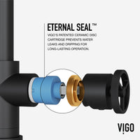Contemporary matte black faucet with gooseneck spout and included hose for installation