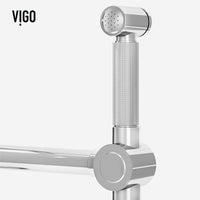Cass Kitchen Faucet With Sprayer