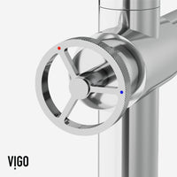 Cass Kitchen Faucet With Sprayer