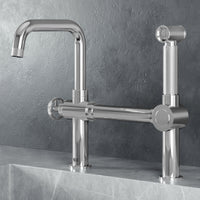 Cass Kitchen Faucet With Sprayer