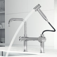 Cass Kitchen Faucet With Sprayer