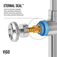 Cass Kitchen Faucet With Sprayer