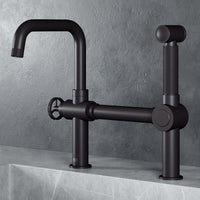 Chrome Cass Kitchen Faucet with pull-out sprayer and high-arc swivel spout