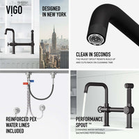 VIGO Cass Kitchen faucet with pull-out sprayer in chrome finish and industrial design
