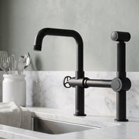 Cass Kitchen Faucet With Sprayer